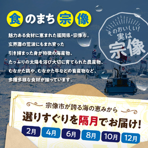 【年6回／偶数月お届け】海のまちから「絶品」海産物をお届け!むなかた海の幸定期便_HB0200