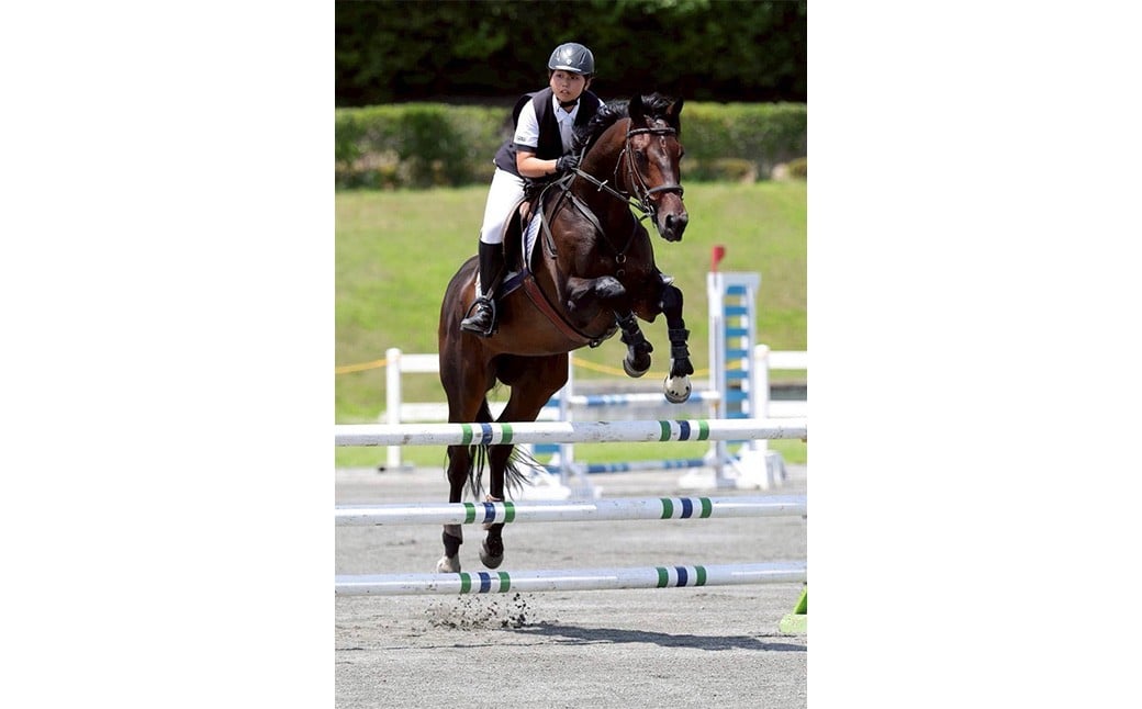 【返礼品なし】 北宇和高校 魅Can部 （馬術部）への応援寄附