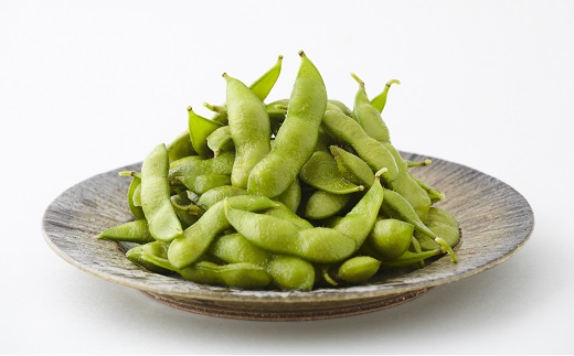 食の都庄内　庄内の夏野菜セット5種ハーフ（ちょっとずつお試し！）※7月上旬～9月下旬配送 [HS4-143(庄内旬青果)]