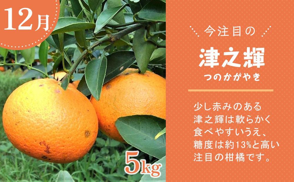 フルーツ好きな人必見！奄美大島から旬のフルーツ全5回定期便