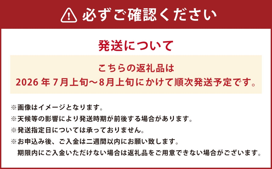 岡山県産白桃約1.5kg（4〜6玉）