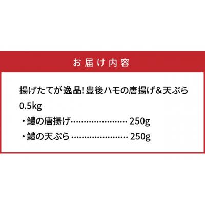 ふるさと納税 国東市 揚げたてが美味!豊後ハモの唐揚げ&天ぷら/0.5kg_0275N |  | 03