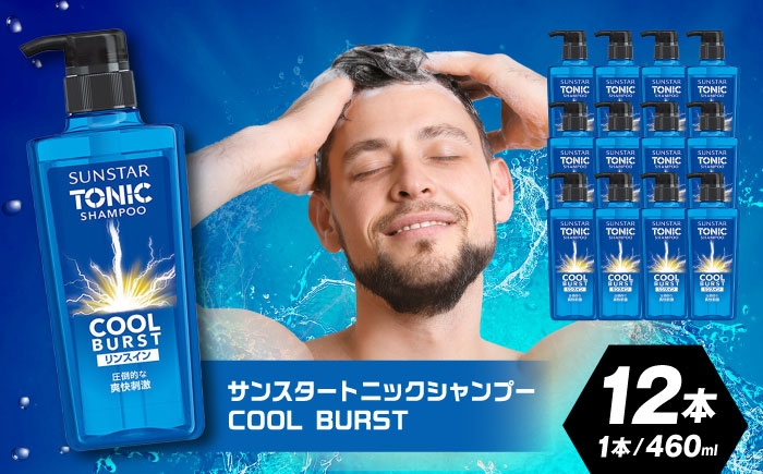 
            【最短7日以内発送】サンスタートニック リンスインシャンプー 460ml×12本＜シトラスハーブの香り＞　シャンプー リンス リンスイン 詰め替え 大容量 まとめ買い メンズ シトラス 柑橘 メントール ノンシリコン人気 定番 スカルプケア 頭皮クレンジング 皮脂洗浄 フケ かゆみ 防止 男性用 爽快感 クール ヘアケア 日用品 ストック 便利 時短 大阪府高槻市/サンスター[AOAD029]
          