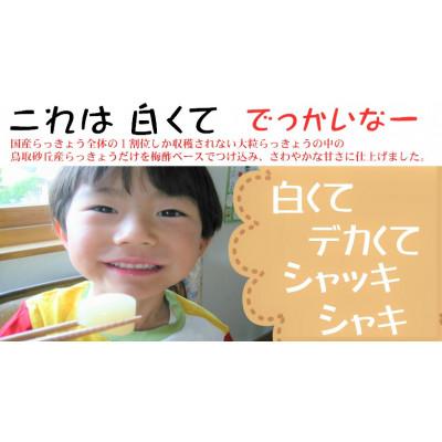 ふるさと納税 北杜市 ちょっと大粒　「色白美人らっきょう」　国産無添加　500g×2パック |  | 02