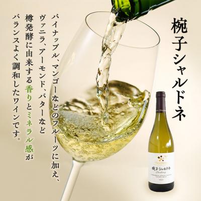 ふるさと納税 上田市 限定 ワイン 椀子ヴィンヤードを味わう定番 セット 2本[54040428] |  | 02