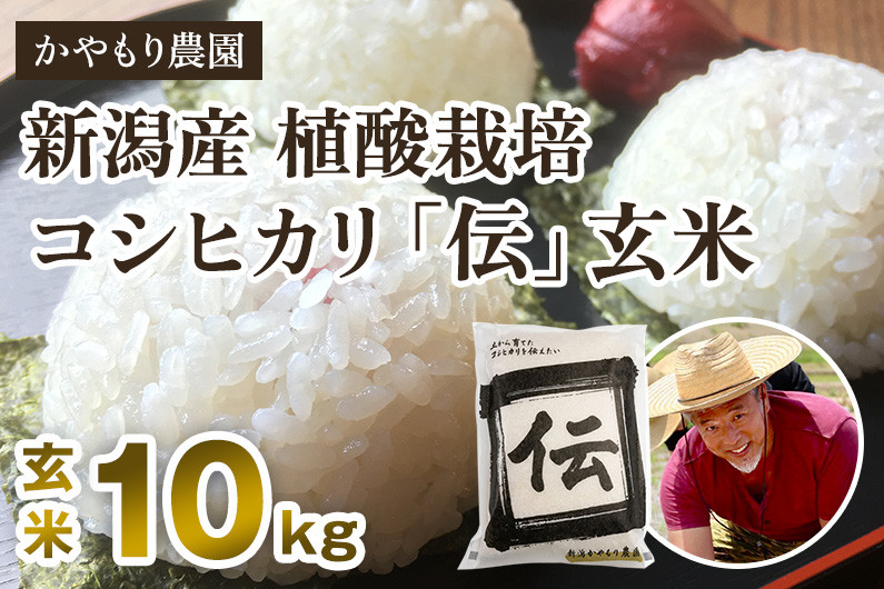 
            【令和7年産新米】新潟産コシヒカリ「伝」真空パック 玄米10kg（5kg×2）《9月下旬～順次出荷》 南麻布の高級料亭で提供される極上米 かやもり農園
          