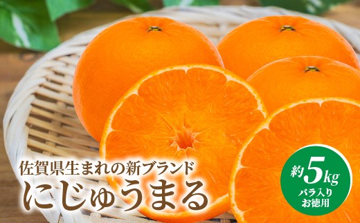 【2027年3月発送 先行予約】佐賀県産 にじゅうまる 約5kg お徳用 バラ入り 柑橘 みかん フルーツ _e-38