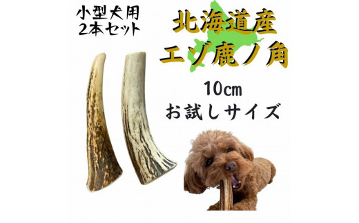 
鹿の角 10cm お試しサイズ 2本 犬のおもちゃ デンタルケア 小型犬 鹿角 北海道産
