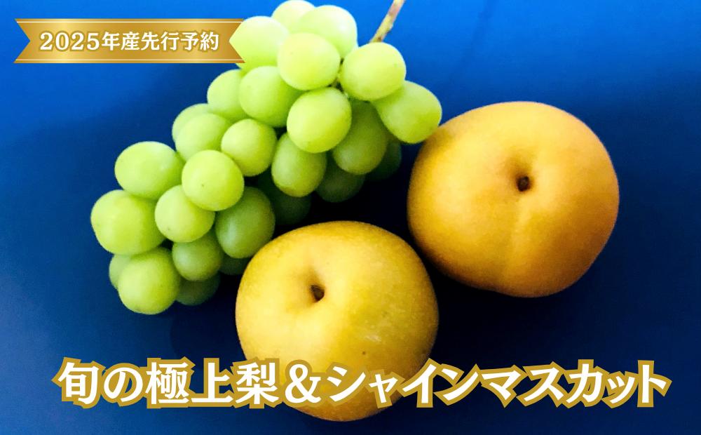 
            【2025年産先行予約】船橋産の極上梨とシャインマスカットのセット
          