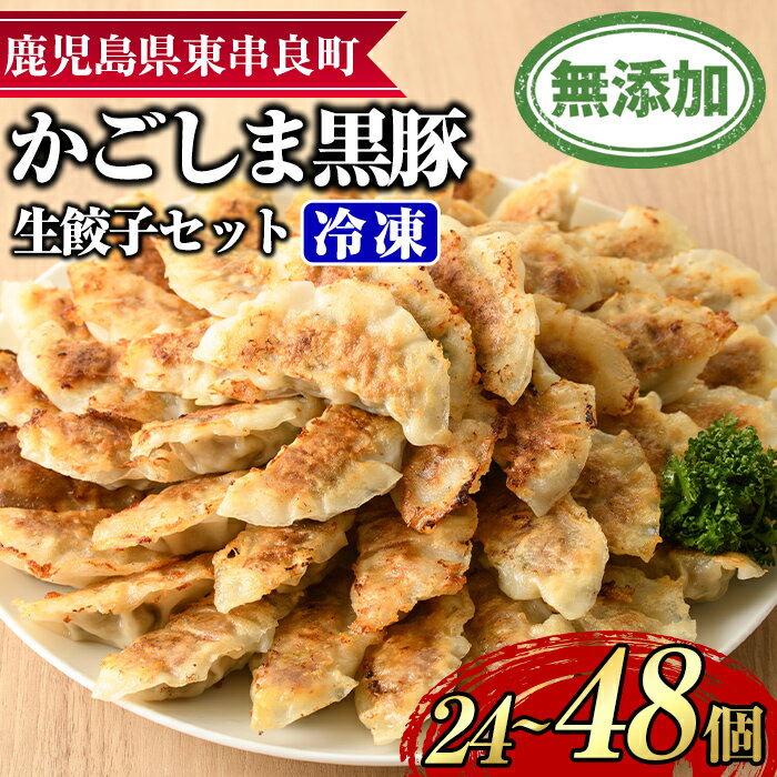 【ふるさと納税】＜容量が選べる！＞鹿児島黒豚生餃子セット(計24個/計48個) 黒豚 豚肉 ぶた肉 餃子 ギョウザ ぎょうざ 惣菜【鹿児島ますや】【0125122a】【0095119a】