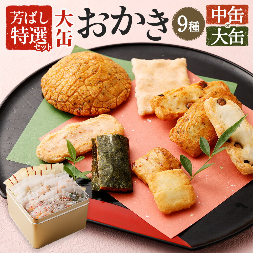 【ふるさと納税】＜選べる内容量＞ 芳ばし特選セット おかき 9種 ＜中缶 360g or 大缶 600g ＞｜ おかき 煎餅 かき餅 海老 黒豆 青のり 和菓子 人気商品 ロングセラー 詰合せ セット 小分け 辻茂製菓 大阪府 阪南市 送料無料