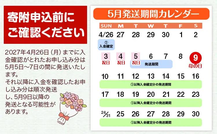 母の日 花 ギフト 母の日 フラワーアレンジメント (ミックス)  【北海道・沖縄・その他離島 配送不可】《2027年5月上旬-5月末頃出荷》椿原園