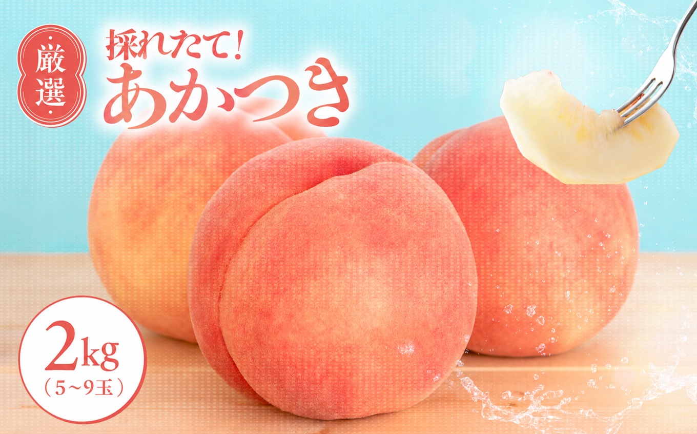 【7月下旬より順次発送】南信州産「桃」あかつき 約2kg 5～9玉 | 果物 くだもの フルーツ 桃 モモ もも あかつき 新鮮 長野県 信州 南信州 飯田市