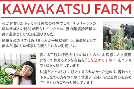 ふくおかエコ農作物認証あまおう G以上 2箱セット あまおう イチゴ 苺 いちご フルーツ 果物 くだもの 福岡県産 お取り寄せグルメ お取り寄せ 福岡 お土産 九州 福岡土産 取り寄せ グルメ 福岡県