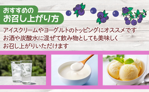 北海道 豊浦町 ブルーベリーシャーベット 20本 【 ふるさと納税 人気 おすすめ ランキング ブルーベリー 国産ブルーベリー ブルーベリーシャーベット 大容量 おいしい 美味しい 甘い 北海道 豊浦