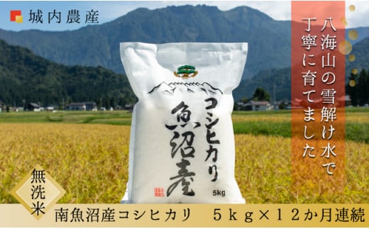 【令和７年産新米予約】【お米定期便/全１２回】南魚沼産コシヒカリ　無洗米５ｋｇ＜５割減農薬栽培米＞城内農産【2025年10月上旬より順次発送予定】