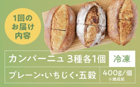 【全6回定期便】【冷凍】カンパーニュ3種セット (プレーン・いちじく・五穀) 愛媛県大洲市/株式会社アライ 冷凍パン ハードパン 食事パン 朝食 ベーカリー 冷凍[AGAY052]