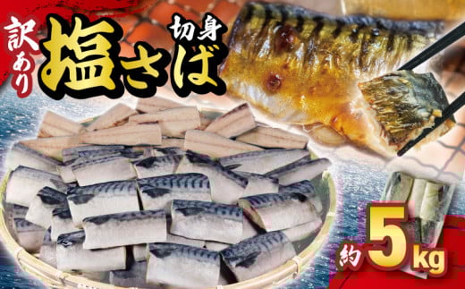 訳あり 塩サバ切身 約5kg ノルウェー産 冷凍 ｻﾊﾞ 鯖 塩サバ 塩鯖 鯖切身 鯖切り身 サバ切身 サバ切り身 切り身 切身 海鮮 魚 大容量 青魚 おかず 惣菜 魚介 おつまみ 弁当 人気 冷凍食品 グルメ 贈答 贈物 ギフト 長期保存 小分け お取り寄せ BBQ 送料無料 ふるさと納税 ふるさと納税サバ 千葉県 銚子市 大一奈村魚問屋