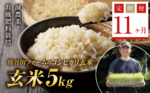 《定期便11ヶ月》減農薬・有機肥料栽培 西会津産米コシヒカリ 玄米 5kg F4D-1210