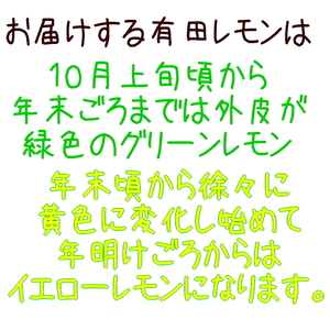 紀州和歌山 ご家庭用 有田 レモン 3kg+200g(痛み補償分)【防腐剤・ワックス不使用】【農家直送】【訳あり】 ※着日指定不可 ※10月中旬～2月下旬頃に順次発送【ard189A】