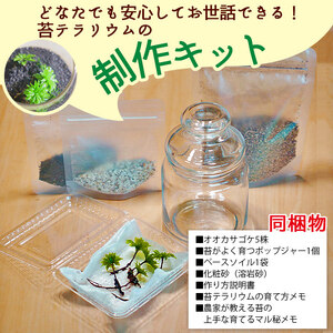 「めでる」シリーズ：苔テラリウム制作キット オオカサゴケ 5本パック NKK0005