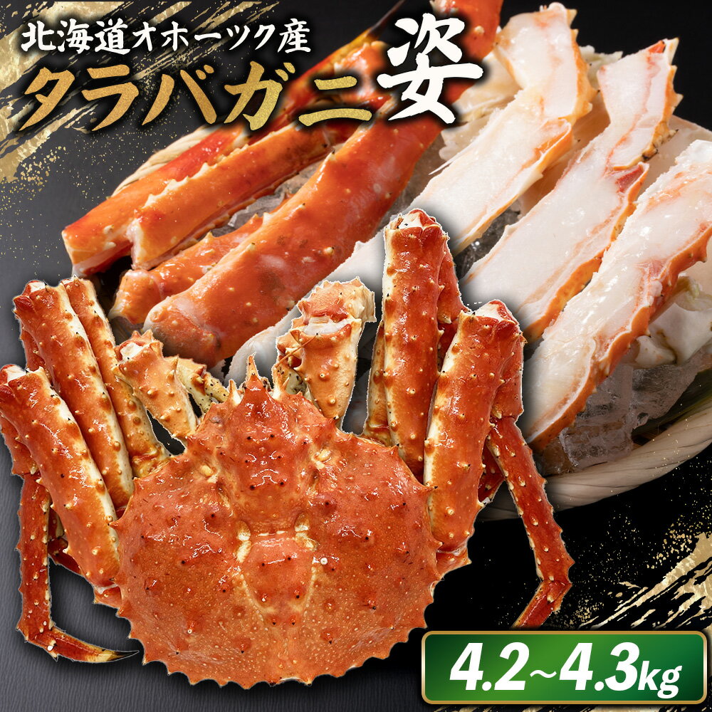 【ふるさと納税】北海道オホーツク産 冷タラバガニ姿　4.2～4.3kg | 北海道産 オホーツク産 オホーツク オホーツク産 オホーツク海産 タラバガニ タラバ カニ かに 蟹 冷凍 ギフト 贈り物 お取り寄せ 北海道 雄武町 雄武【12415】