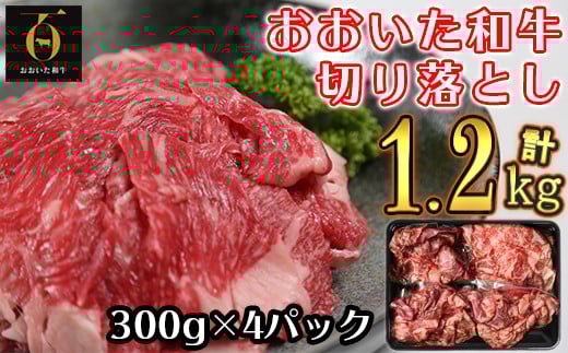 
            おおいた和牛切り落とし1.2kg（300g×4p） ※真空パック 【匠牧場】 牛肉 切り落とし すき焼き 牛 小分け 和牛 おすすめ 国産 おおいた和牛 バーベキュー 生産者応援の品 母の日 父の日 ＜102-002_5＞
          