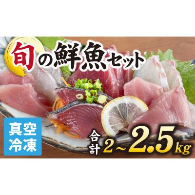 ふるさと納税 南越前町 【日本海鮮魚】漁師厳選鮮魚真空冷凍セット　約2g〜2.5kg(4種以上)