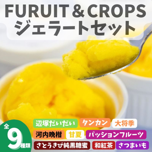 <先行受付><2026年4月以降順次発送> 南のくだもの王国 南のFRUIT＆CROPS ジェラート セット (9種 9個入り)