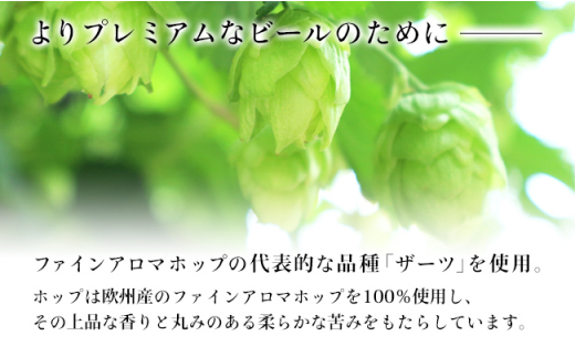 【8ヶ月定期便】クラフトビール24缶を詰め合わせた THE軽井沢ビール飲み比べセット