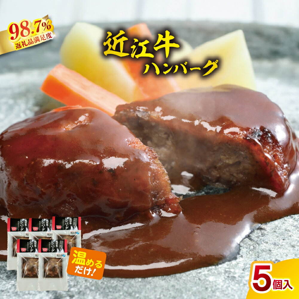 【 ふるさと納税 】 近江牛 ハンバーグ 5個 600g (120g×5個) ブランド牛 牛肉 国産 冷凍 湯煎 湯せん ギフト 贈答用 レトルト 温めるだけ 冷凍食品 デミグラス デミグラスソース デミグラスソースハンバーグ デミソース 総本家 肉のあさの