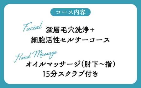 深層毛穴洗浄＋細胞活性フェイシャル＆ハンドマッサージ　リフレッシュコース ／ チケット 体験 エステ【tricca Balcony Hayama】[ASBN001]