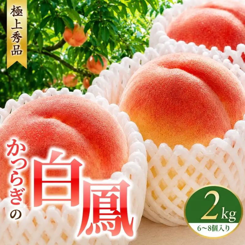 桃 【先行予約】 白鳳　桃の王様！2kg 6～8個 【秀品】こだわり農家厳選 / 桃 モモ フルーツ 果物 くだもの 人気 産地直送 厳選 甘い 予約 もも フルーツ王国 ※2027年6月末頃～7月末頃に順次発送予定（お届け日指定不可） ※離島への配送不可 【kgr501-haku-2】