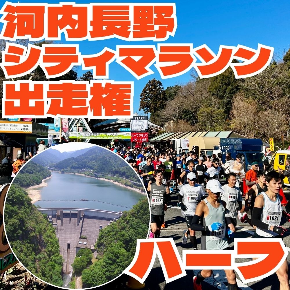 
            河内長野市シティマラソン　ハーフの部（21.0975km）　出走権
          