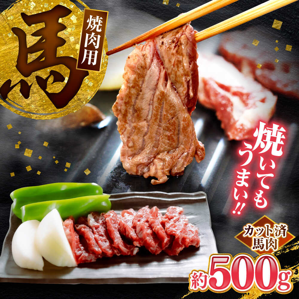 【ふるさと納税】馬肉 焼肉用500g カット済 馬肉 熊本 焼き肉 馬焼き 焼き肉 焼肉 おすすめ部位 ヘルシー 低カロリー 熊本名物 馬焼き ばにく バーベキュー おうち焼肉 送料無料【山都町（桜屋）】[YBW124]