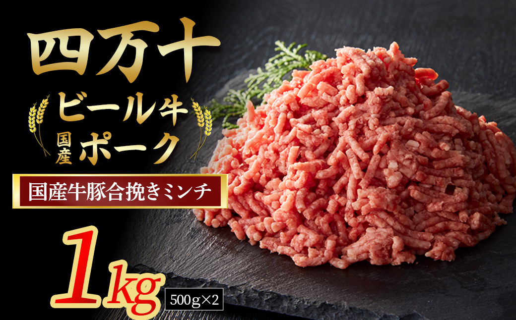 
                  【通常配送】 国産牛肉 豚肉の合挽肉 1kg（500g×2） Asz-Z14 国産 牛肉 豚肉 ミンチ 合挽肉 小分け 冷凍 四万十ポーク ハンバーグ 人気
                