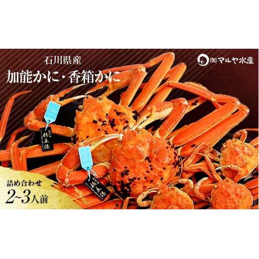 石川県産 加能かに ズワイガニ ( 産地証明タグ付 ) 中サイズ 2匹 + 香箱かに 3匹 詰合せ ( 2～3人前 ) 12月16日～12月26日発送 食べ比べセット ズワイガニ F6P-2765