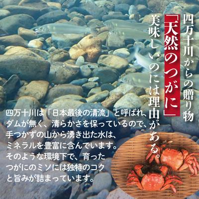 ふるさと納税 四万十市 高級天然食材!四万十川の天然ツガニ 約700g〜800g(4〜6匹) 26 |  | 02