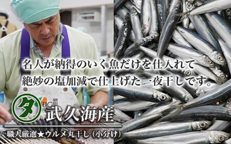 訳あり 魚の 丸干し ＆ 開き おまかせ セット 2.5kg 10000円 魚 海鮮 干物 無添加 ひもの ひらき 詰め合わせ 冷凍 丸干し 鯵 アジ 鯖 さば サバ 鰹 かつお カツオ 鯛 たい タ