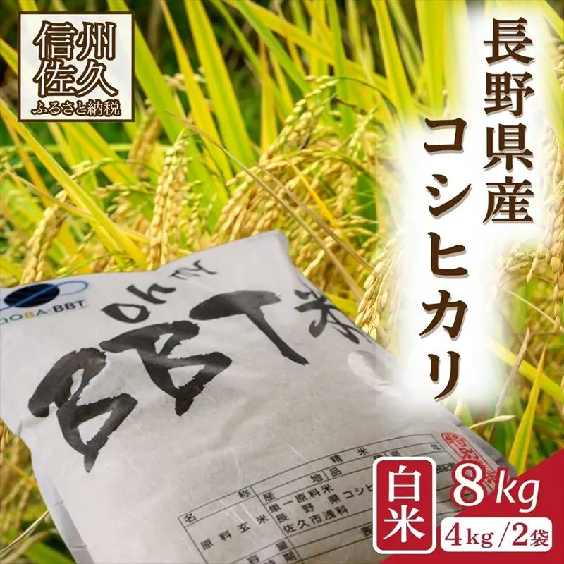【令和8年産・白米8kg】特別栽培米　BBT米（五郎兵衛米） 〈2026年9月下旬頃～順次発送〉 先行予約　新米　信州　こしひかり