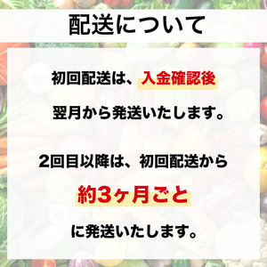 【野菜定期便 4回】選りすぐり京野菜 6種程度 4ヶ月