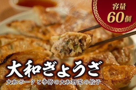 【餃子】 大和餃子 60個（15個×4袋） lov001 冷凍餃子