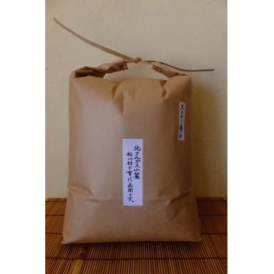 ふるさと納税 松川村 北アルプス山麓で育った　天日干し　朝日　玄米10kg(栽培期間中農薬・肥料・除草剤不使用)