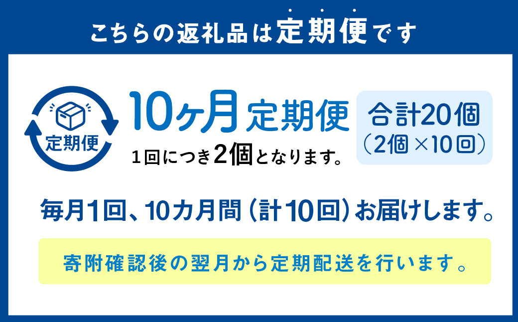 【1ヶ月毎10回定期便】 カムカムおこめチップス（しお） ボックスタイプ 計20個 （2個×10回） お菓子 スナック菓子