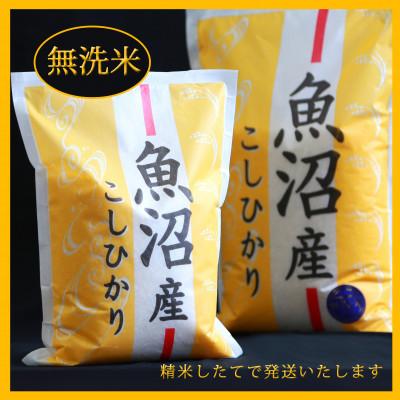 ふるさと納税 魚沼市 【毎月定期便】五つ星お米マイスター厳選 無洗米北魚沼産コシヒカリ5kg全6回 |  | 01
