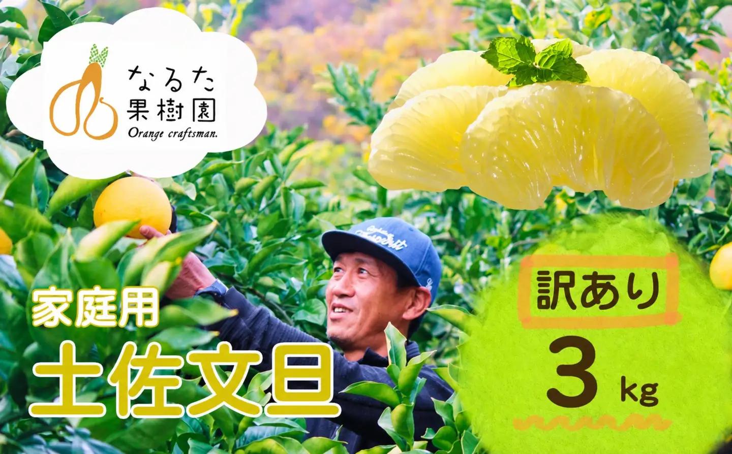 成田果樹園 の 土佐文旦 3kg 家庭用 文旦 訳あり ぶんたん [1919]