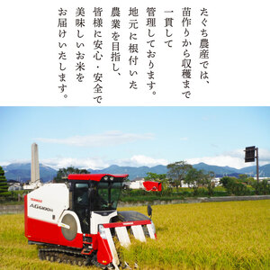 先行予約 令和7年産 こしひかり 5kg×4袋（20kg） 新米 米 精米 コメ お米 白米 ご飯 コシヒカリ 20kg 5kg 令和7年 滋賀 彦根