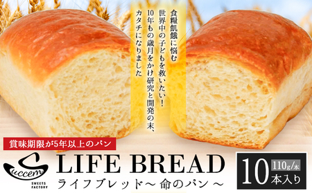 LIFEBREAD 10本 110g サクセム株式会社《30日以内に出荷予定(土日祝除く)》和歌山県 紀の川市 防災備蓄 賞味期限5年以上 ライフブレッド ブレッド