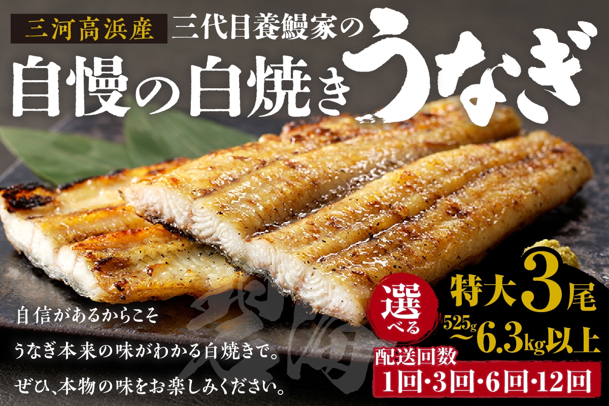 
                  三河高浜産三代目養鰻家の白焼きうなぎ　特大3尾【選べるお届け回数】
                