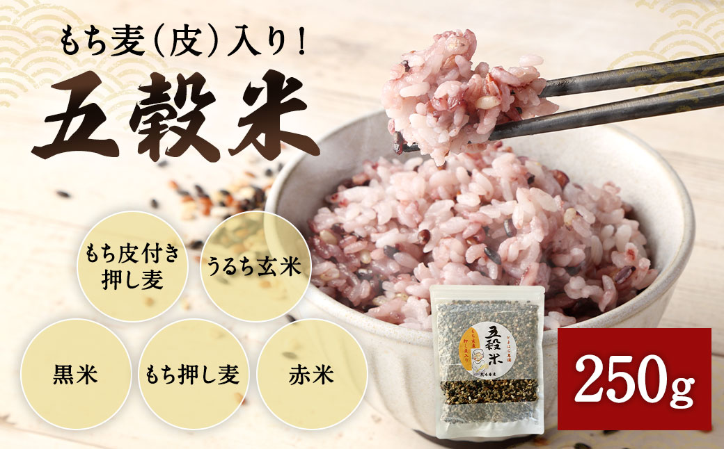 もち麦（皮） 入り！ 五穀米 250g×1袋  国産 雑穀米 五穀 黒米 押し麦 うるち玄米 赤米 ブレンド 米 お米 雑穀 ご飯 ごはん 国産